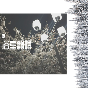 起风了（翻自 大神慧）