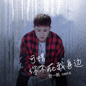 可惜你不在我身边 (伴奏)