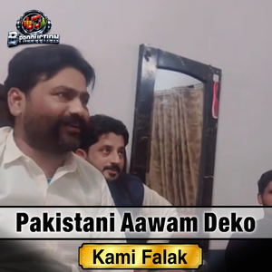 Pakistani Aawam Deko