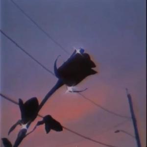 emo状态（Prod By RoyalBoi）