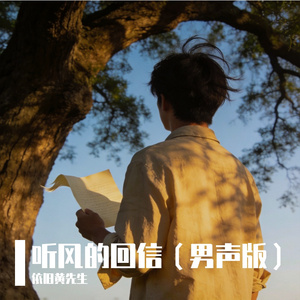 听风的回信
