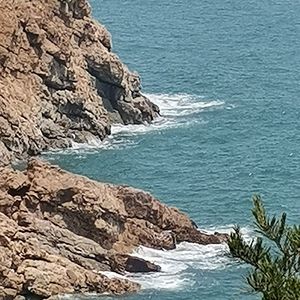 观沧浪（初）