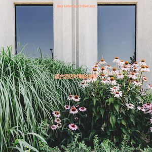 适合酒店丰富的音乐