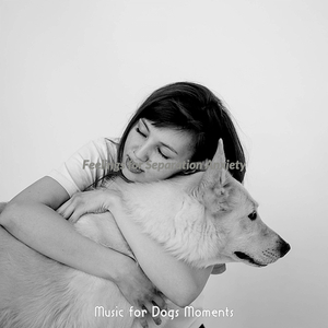 Lively Sleeping Dogs