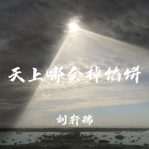 天上哪会掉馅饼 (Dj版)