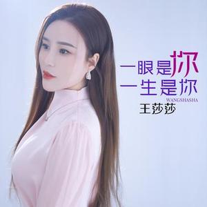 一眼是你一生是你 (DJ何鹏版伴奏)