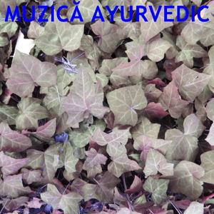 Muzic? Ayurvedic