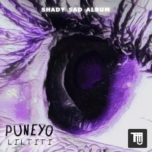 9-PUNEYO