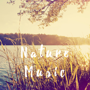 Meditaton: April Rain