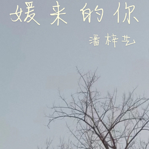媛来的你