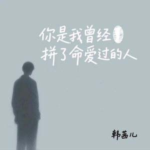 你是我曾经拼了命爱过的人