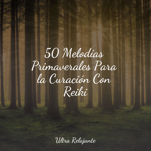 Anochecer En La Distancia