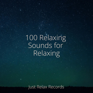 Catnap Cadence Calypso