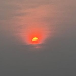 重生浴火
