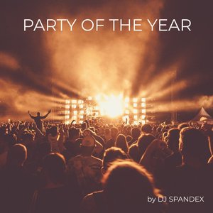 Party of the Year (Radio Edit)