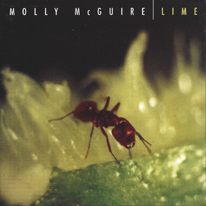 Catfish / Sunshine / She's Gone / Fry