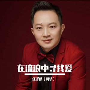 在流浪中寻找爱