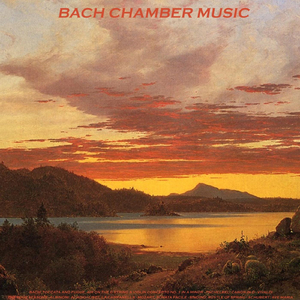 Concerto in E Major for Violin, Strings and Continuo, Op. 8, No. 1, RV 269, "La Primavera" (Spring): III. Allegro