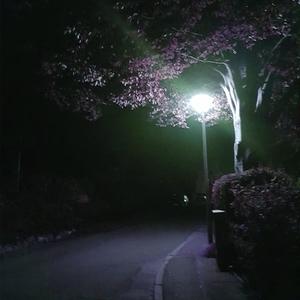 WERT (feat. Young JE)