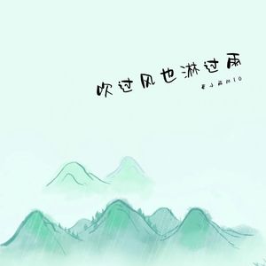 吹过风也淋过雨