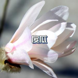 无关风月(伴奏)