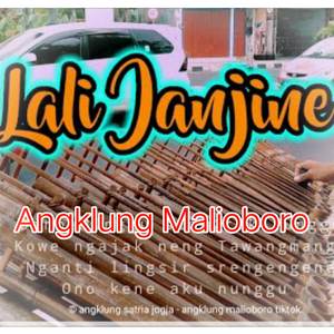 Lali Janjine
