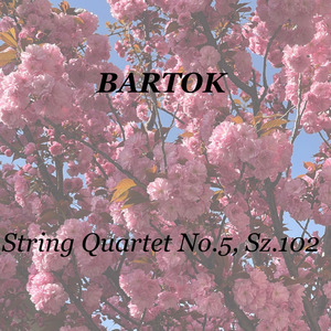 Bartok: String Quartet No.5, Sz.102: V. Finale. Allegro vivace