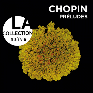 Prelude No 15 in D flat Major, Op. 28: Sostenuto