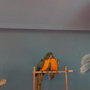 可爱的夜晚（Prod by WayMen）