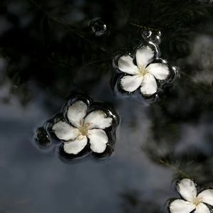 奶茶店碎语