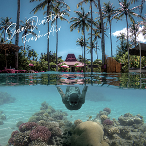 Moonlight (Feat. David Morin)