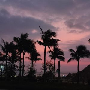 躁郁的迷宫