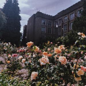 #1. ɪɴᴛʀᴏ: ᴀ ʟᴇᴛᴛᴇʀ ᴛᴏ ᴇɪʟᴇᴇɴ