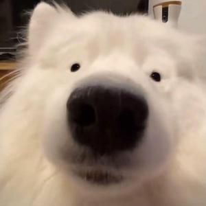 数不清思念