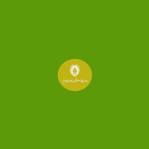 Geodesic Lines (Extended Mix)