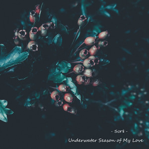 Underwater Season of My Love