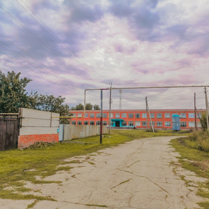 November Twenty-fourth