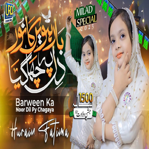 Barween Ka Noor Dil Pe Chah Gaya