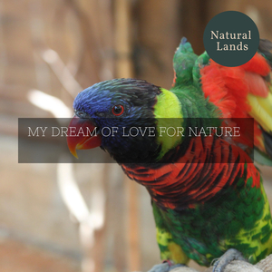 Twinkling Pond Water Ripples