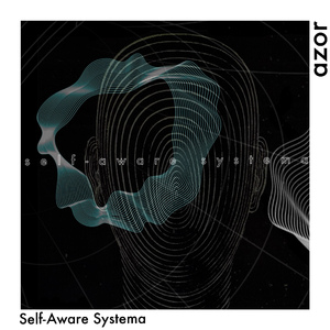 Self-Aware Systema