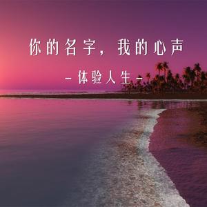 你的名字，我的心声