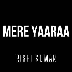 Mere Yaaraa (Instrumental Version)