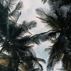 ラバウル小唄 - ハーモニカソロ