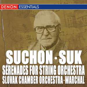 Serenade for String Orchestra in E-Flat Major, Op. 6: II. Allegro giocoso ma non troppo presto