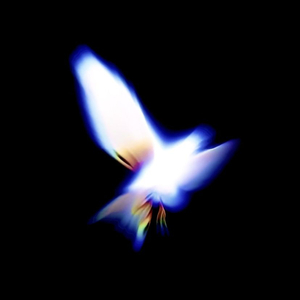 glamlight/2manybands