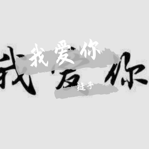 我爱你demo宣传1