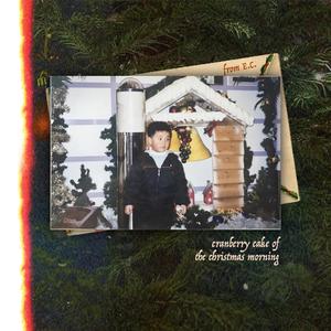 cranberry cake of the christmas morning