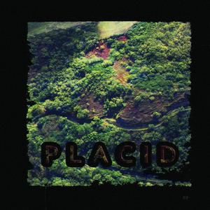 Placid