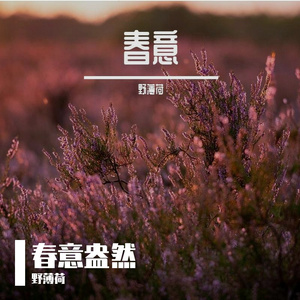 野薄荷