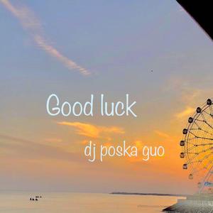 Conclusion（结束语）-dj poska guo（沪语）